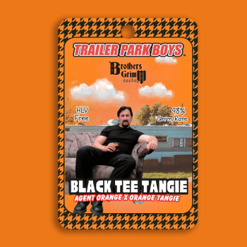Julian's Black Tee Tangie Feminised Seeds (Trailer Park Boys Collab)-TPB-JBTT-FEM