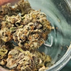 The Soap Clones-SMAN-CL-BCC-SOAP