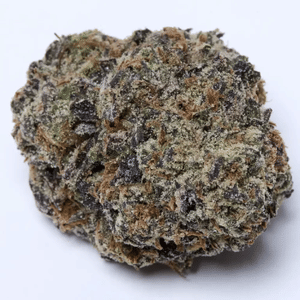 Gelato 33 Clones-SMAN-CL-BCC-GE33