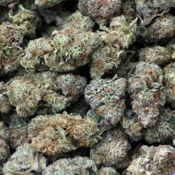 Pebble Wreck Clones-SMAN-CL-ZEN-PEWR