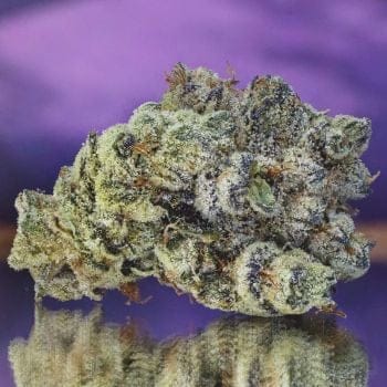 Grease Monkey Clones-SMAN-CL-ZEN-GRMO