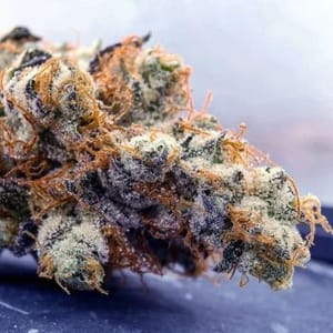 Cookies & Chem Clones-SMAN-CL-ZEN-COCH