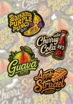 Schnell Buds Mix Pack Auto RF3 Feminisiert Saatgut-FB-MIX-RF3-AUTO-FEM