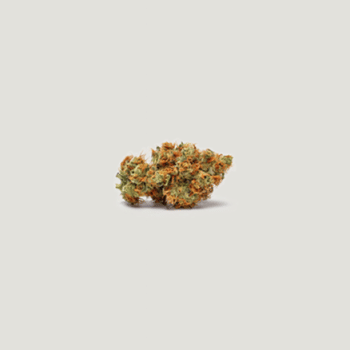Pomegranate Lime Auto Feminized Seeds-PCG-POLI-AUTO-FEM