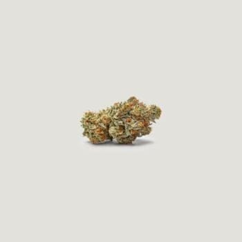 NorCal Sour Z Feminized Seeds-PCG-NCSZ-FEM