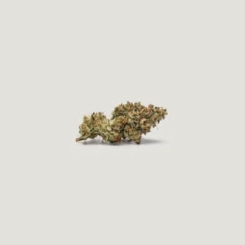 Key Lime Tart Feminized Seeds-PCG-KELT-FEM