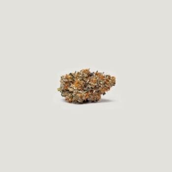 Gushi Feminized Seeds-PCG-GUSH-FEM
