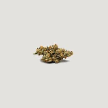 Betty Ford Feminized Seeds-PCG-BEFO-FEM