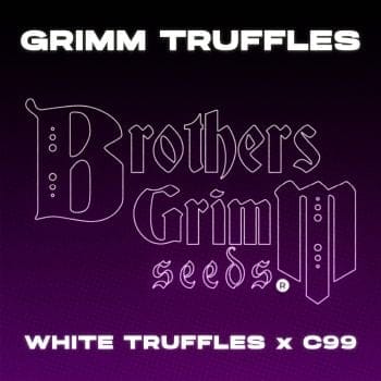 Grimm Truffles Feminized Seeds-BGS-GRTR-FEM