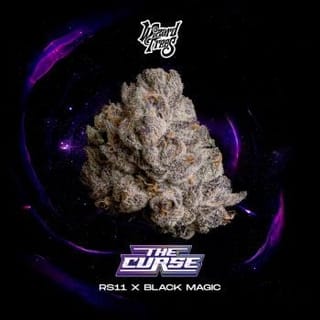 The Curse Feminised Seeds-WIZT-THCU-FEM