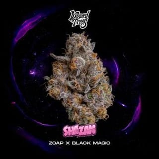 Shazam Feminised Seeds-WIZT-SHAZ-FEM