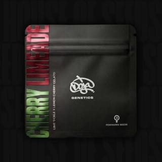 Cherry Limeade Feminised Seeds-DOJ-CHLI-FEM