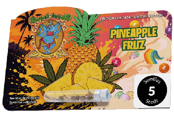 Pineapple Fruz Féminisée Graines-SS-PIFR-FEM