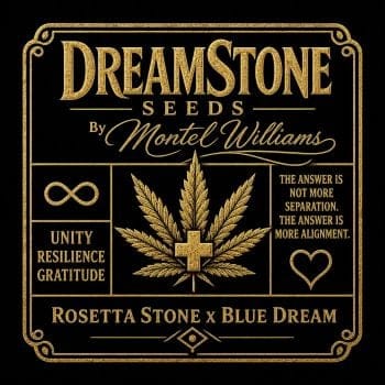 DreamStone By Montel Feminised Seeds-BGS-DRST-FEM