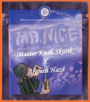 Master Kaze (Master Kush Skunk x Afghan Haze) Regular Seeds - 18-MRNMKSKXAH
