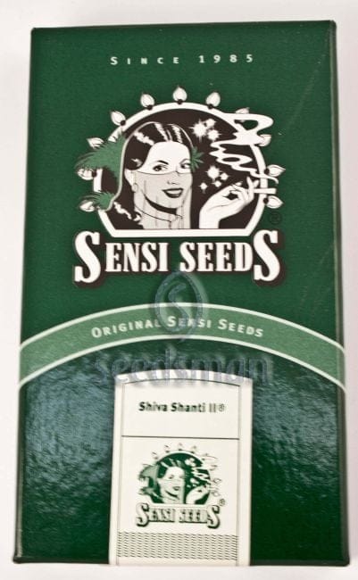 Shiva Shanti II Regular Seeds - 10-SEN227
