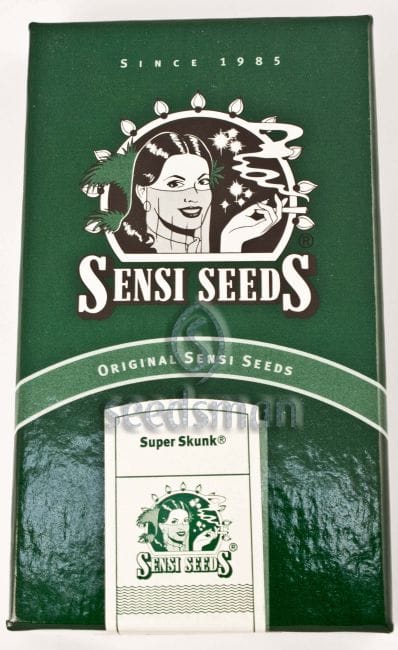 Super Skunk κανονική σπόροι - 10-SEN241