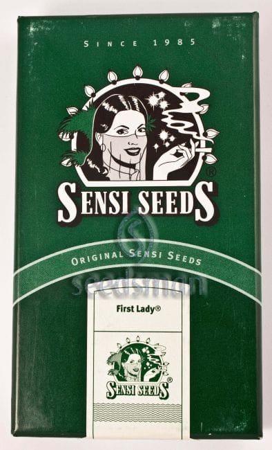 First Lady Regular Seeds - 10-SEN2317