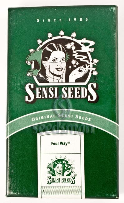 Four Way Regular Seeds - 10-SEN231