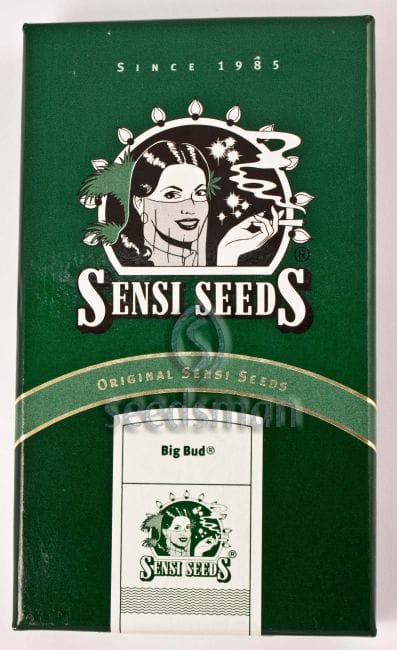 Big Bud Regulär Samen - 10-SEN335