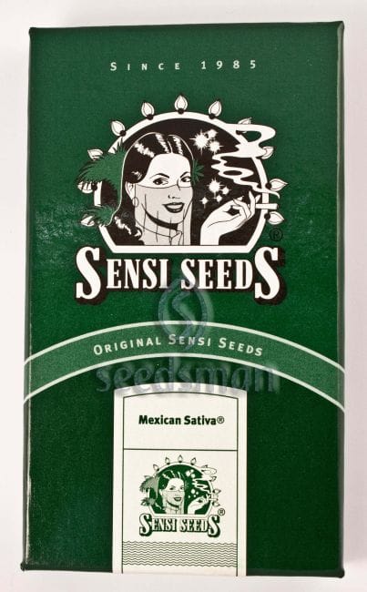 Mexican Sativa редовен семена - 10-SEN337