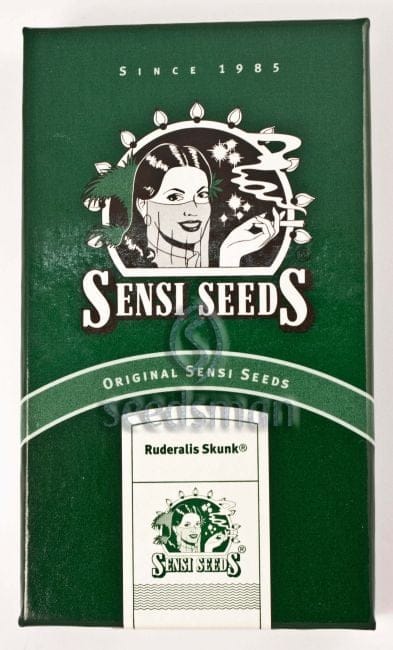 Ruderalis Skunk Almindelig Frø - 10-SEN2304