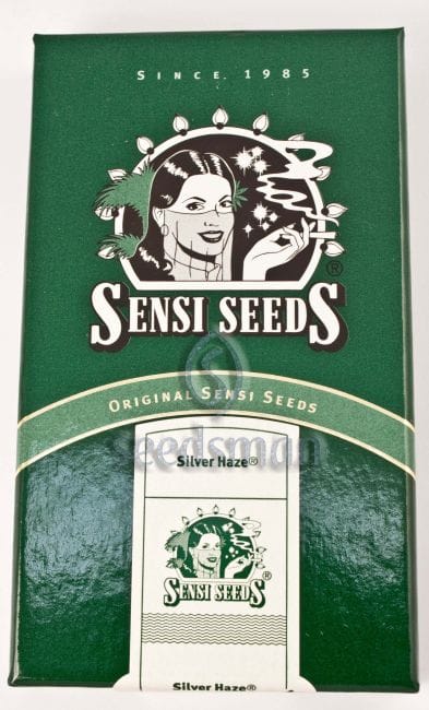 Silver Haze Regulär Samen - 10-SEN232