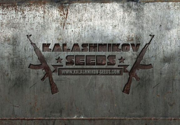 Mix Auto Feminised Seeds - 14-KS-MIXAUTO-FEM