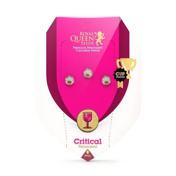 RQS Feminised Starters Kit-RQS-STKIT-CRIT-FEM-3