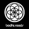 Sun Ra Regular Seeds - 11-BODH-SUNRA-REG-11