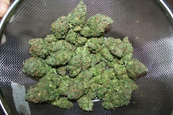 Remedy Regular Seeds - 18-MRNREM