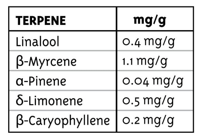 Emerald Fire OG Ordinario Semi - 10-HUMB-EFO-10-R