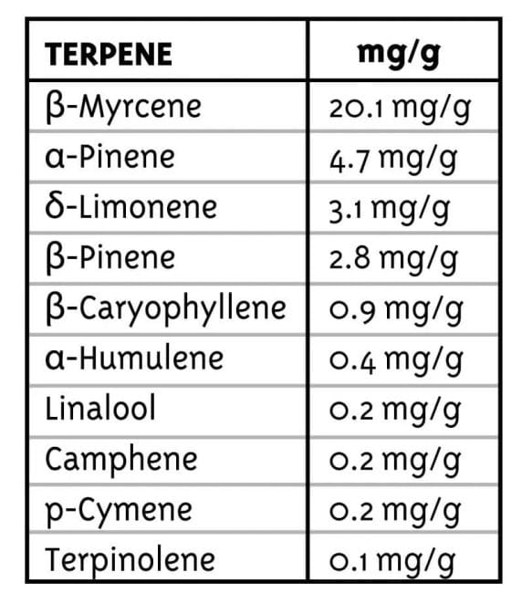 PPD Almindelig Frø - 10-HUMB-PPD-10-R