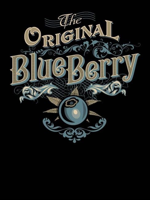 Blueberry F5 Regular Seeds - 6-DJSHO-BB-REG