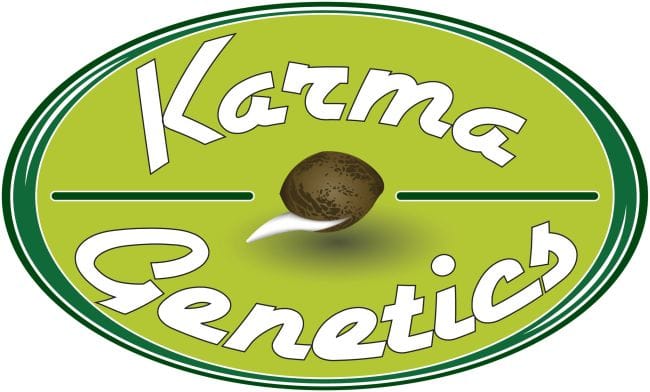 White Biker Regular Seeds - 12-KARMA-WHTBK-REG-12