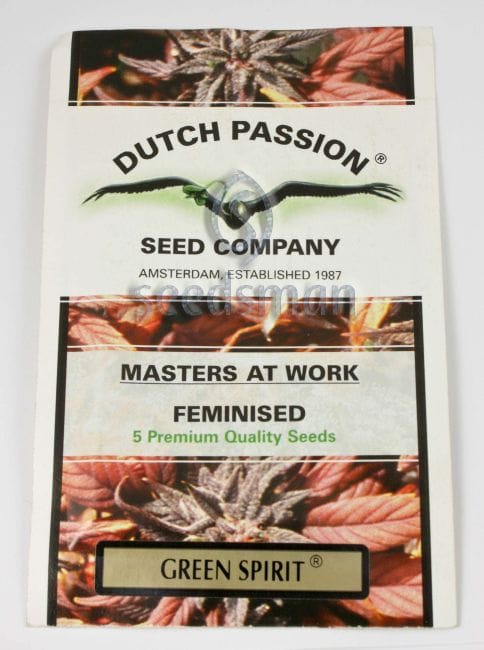 Green Spirit феминизирани семена-greenspirit