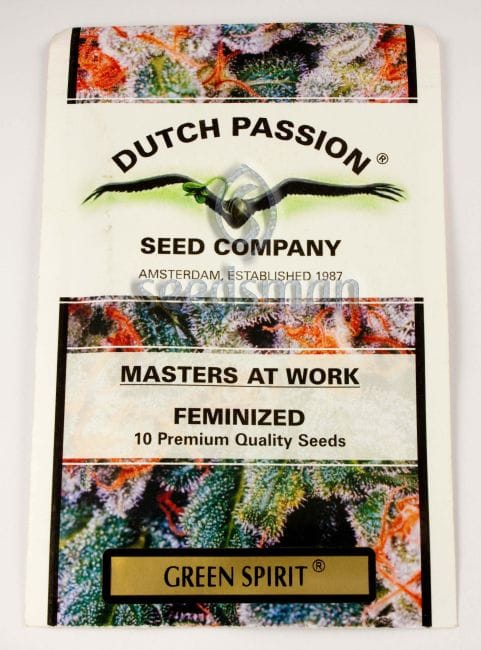 Green Spirit феминизирани семена-greenspirit