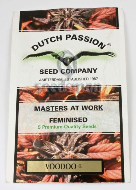 Voodoo Feminized Seeds-dp-voodoo-fem