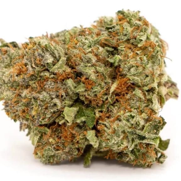 Honeycomb Chem Feminised Seeds - 5-TRS-HC-FEM-5