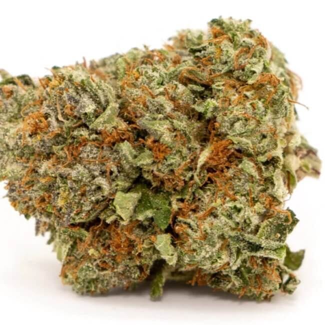 Honeycomb Chem Feminised Seeds - 5-TRS-HC-FEM-5