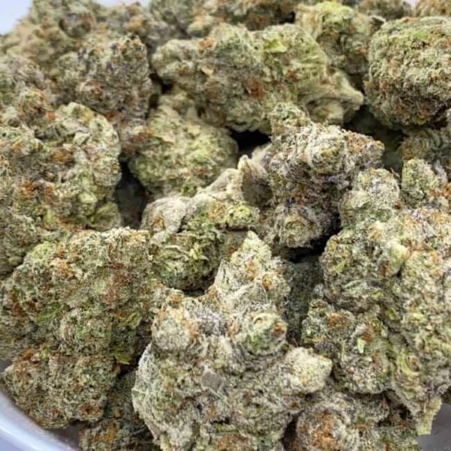 Ice Cold Feminised Seeds - 5-TRS-IC-FEM-5