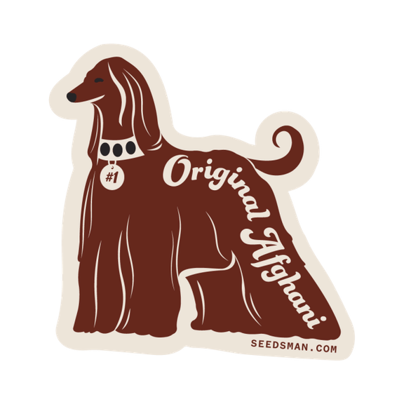 Original Afghani #1 Regelmäßig Saatgut-SMAN-ORAF-REG