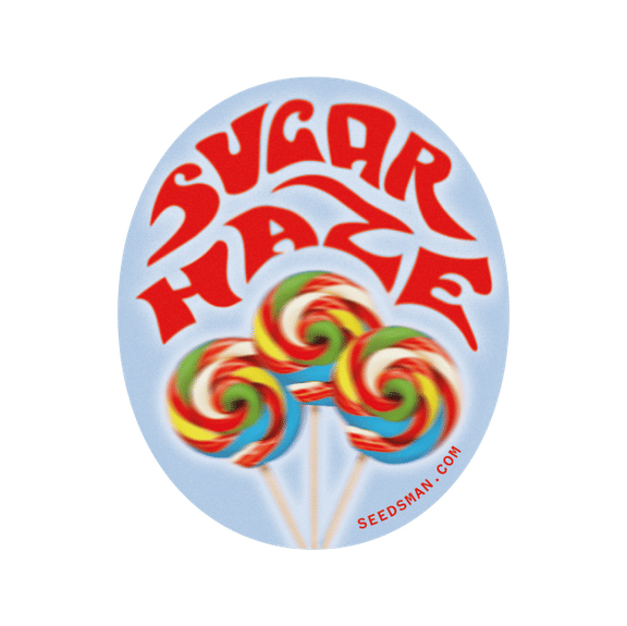 Sugar Haze Regular Seeds-SMAN-SUHZ-REG