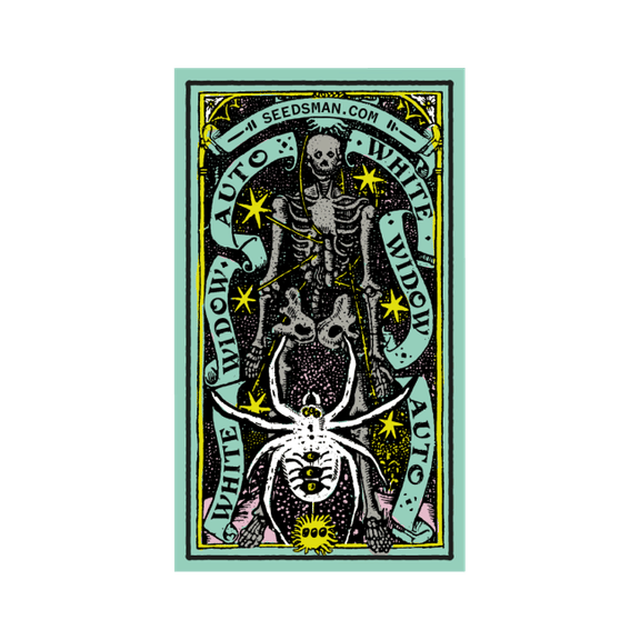 White Widow Auto Feminised Seeds-auto-white-widow