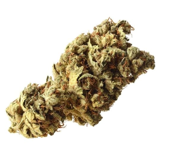 Pineapple Kush Feminised Seeds-AMG-PINKU-Fem