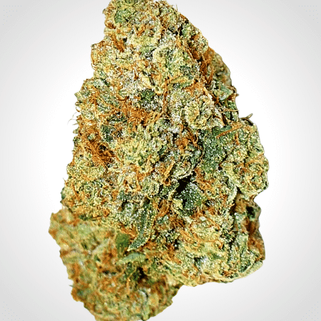 Expert Gorilla Auto Feminised Seeds-EXP-GG4-AUTO-Fem