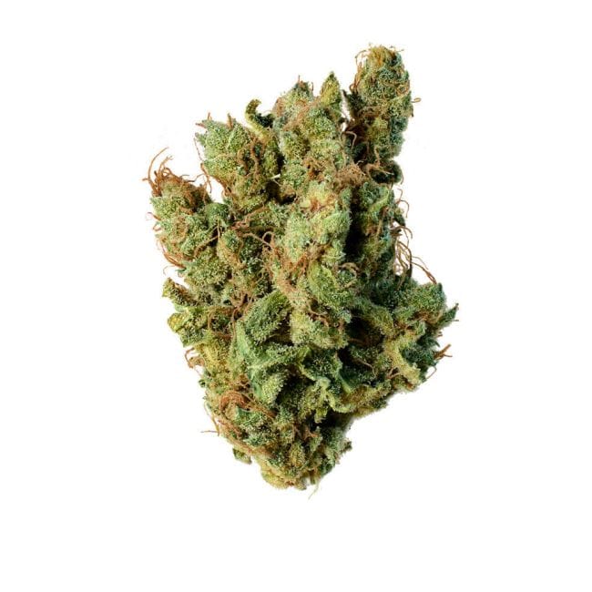 Super Silver Haze Feminised Seeds-AMG-SSH-FEM