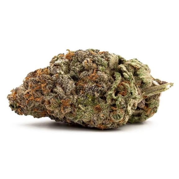 GDP Auto x Gumberry Auto Feminised Seeds-GOG-GDPXGUM-AUTO-FEM