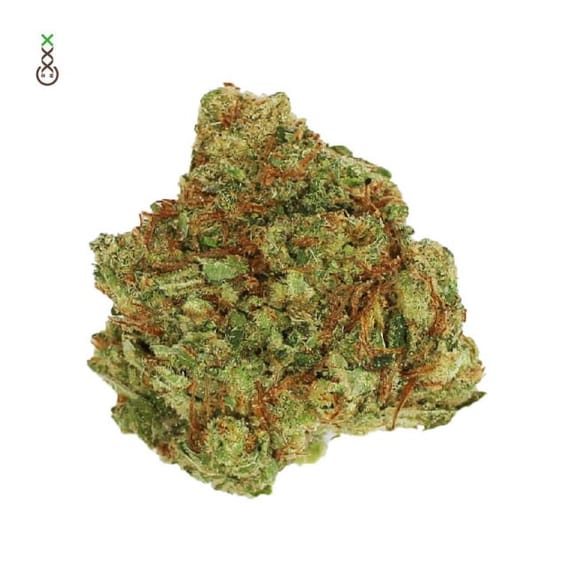 Blue Monkey CBD Feminised Seeds-AMG-BLMONK-CBD-FEM