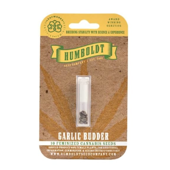 Garlic Budder Feminized Seeds-HUMB-GAB-F